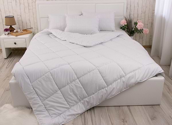 Фото - Набір ковдра полуторна + подушка Руно 140х205 + 50х70 (924.52_Elegante)