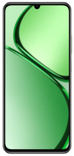 Фото - Смартфон realme С63 8/256Gb Green