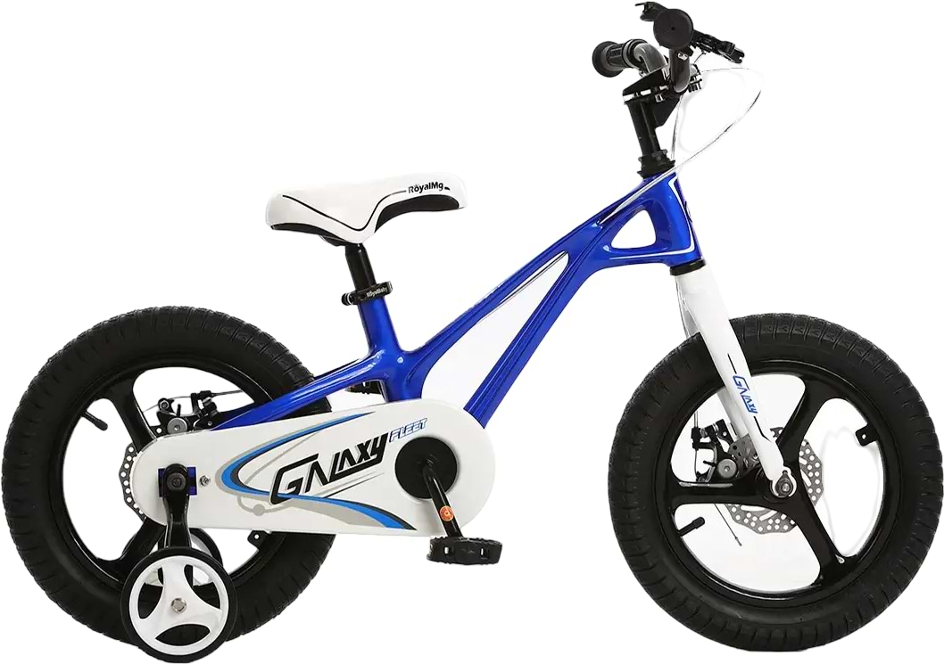 Двухколёсный велосипед RoyalBaby GALAXY FLEET 25.18-05 Blue