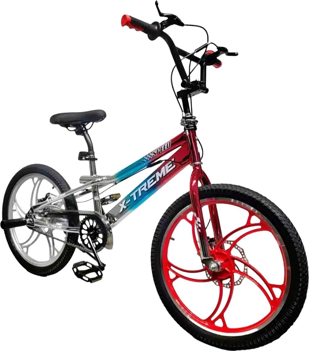Двухколёсный велосипед X-Treme FALCON 25.20-01 Silver/Blue/Red