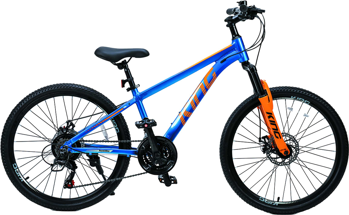 Двухколёсный велосипед RoyalBaby KING 25.24-04 Blue