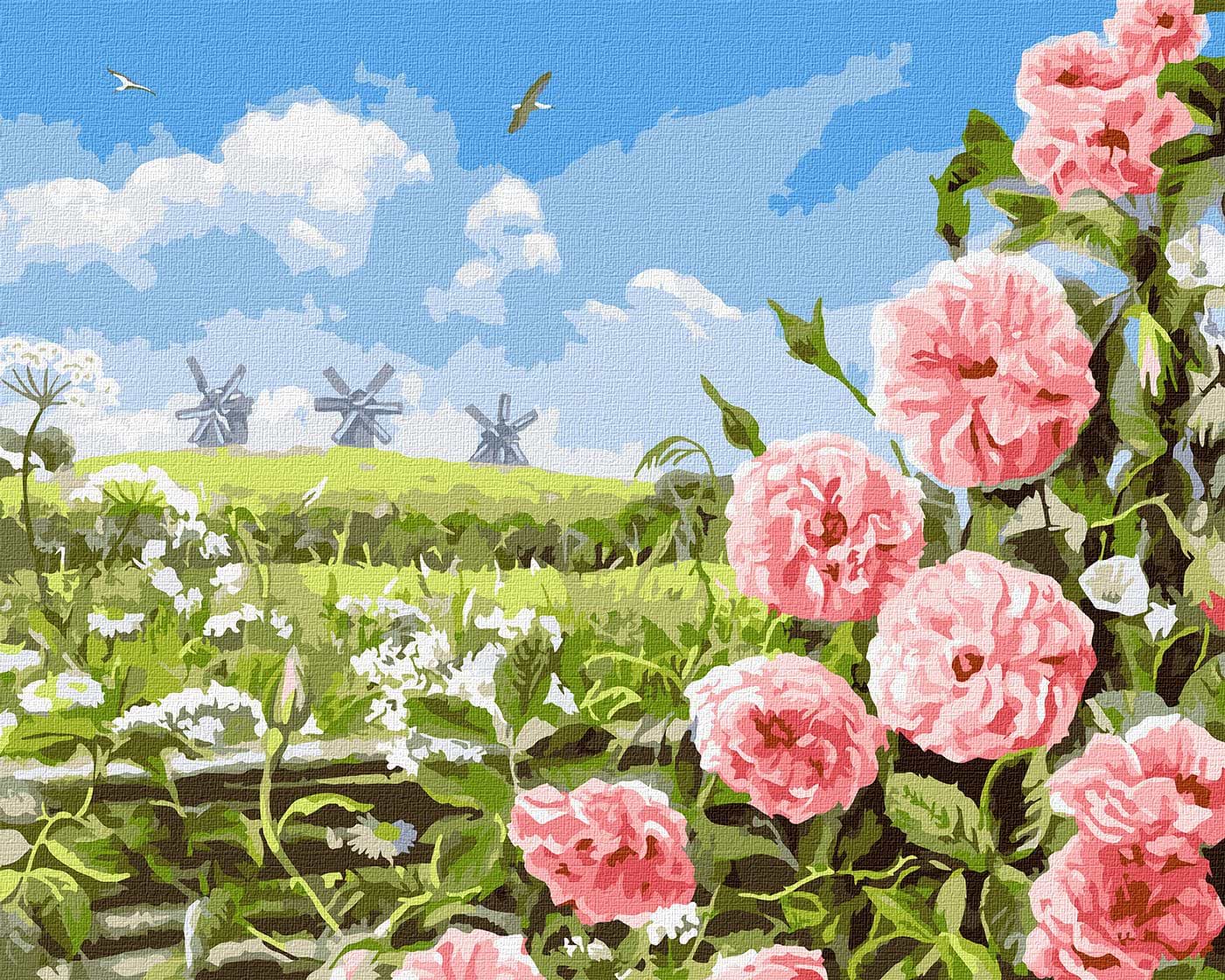 Картина по номерам Ideyka Нежность полей 40х50 см (KHO6321)