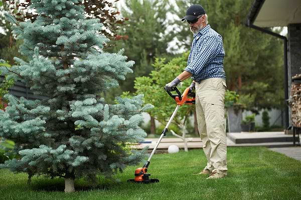 Фото - Триммер садовый SEQUOIA SBT2030D