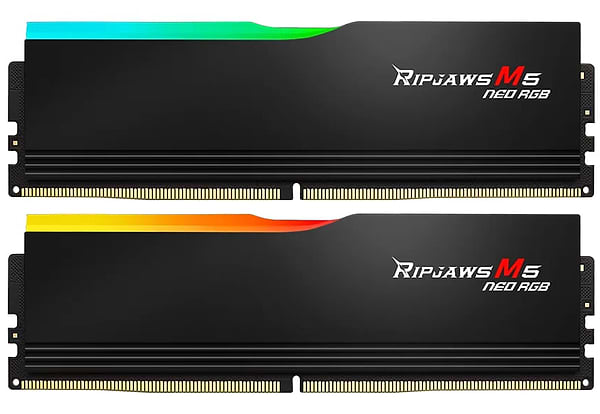 Фото - Память DDR G.Skill 2x24GB DDR5-6000 K2 (6000J3036F24GX2-RM5NRK)