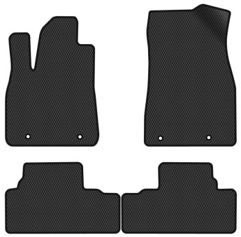 Фото - EVA коврики в салон авто EVAtech для RX 350 (AL10) Lexus 2009-2015 3 поколение SUV USA LS22127PC4TL4RBB