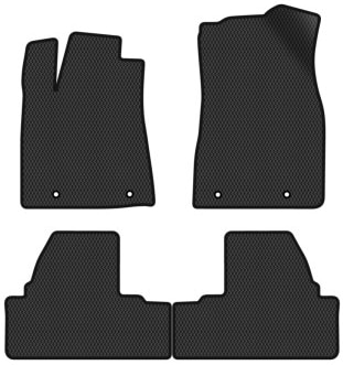 EVA килимки в салон авто EVAtech для RX 270 (AGL10) Lexus 2009-2015 3 покоління SUV EU LS11991PC4TL4RBB