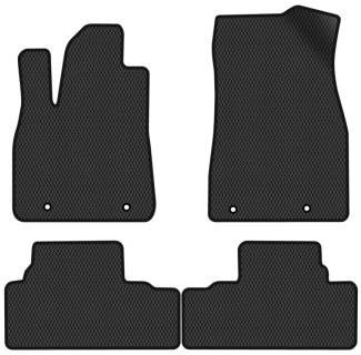 Фото - EVA килимки в салон авто EVAtech для RX 450h (AL10) Lexus 2009-2015 3 покоління SUV USA LS23934PC4TL4RBB Фото - EVA килимки в салон авто EVAtech для RX 450h (AL10) Lexus 2009-2015 3 покоління SUV USA LS23934PC4TL4RBB