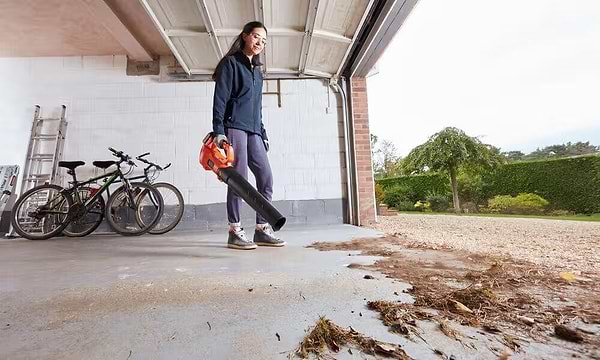 Фото - Воздуходувка аккумуляторная Black&Decker BCBL200L