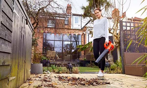 Фото - Воздуходувка аккумуляторная Black&Decker BCBL200L