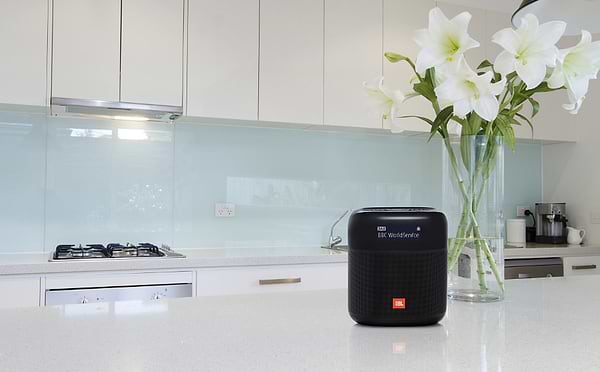 Фото - Портативная акустика JBL Tuner 2 FM Black (JBLTUNERXLBLKEUNA)