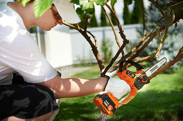 Фото - Ланцюгова пила SEQUOIA 20 В (SBC2008BM-EV)