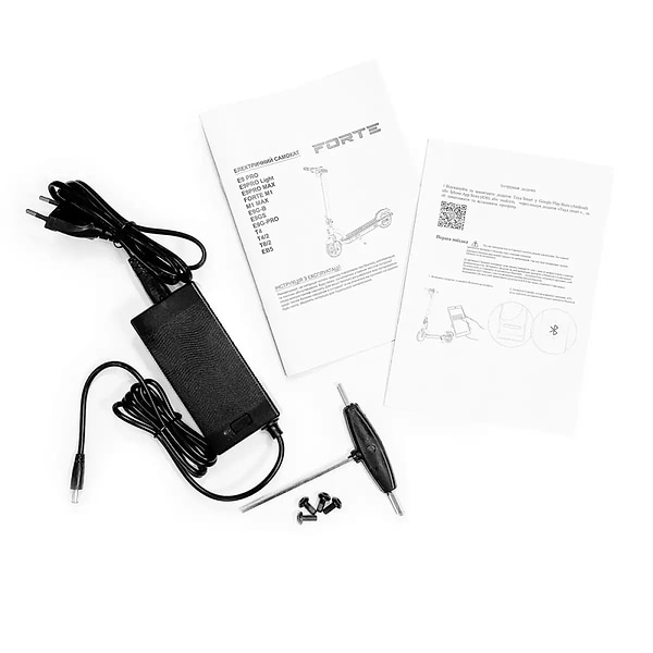 Фото - Електросамокат Forte E9 PRO