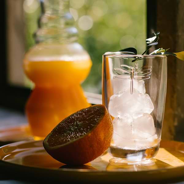 Фото - Стакан La Rochere 627201 LIBELLULES 400 мл