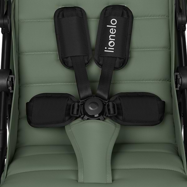 Фото - Коляска прогулочная Lionelo Iva Green Forest