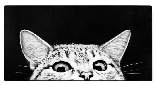 Коврик для мыши Voltronic Gray Cat (GC300-700)
