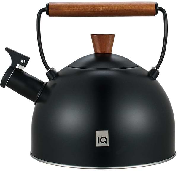 Фото - Чайник металевий IQ Вe Natural 2.5 л (IQ-1003)