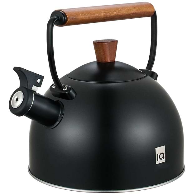 Фото - Чайник металевий IQ Вe Natural 2.5 л (IQ-1003)
