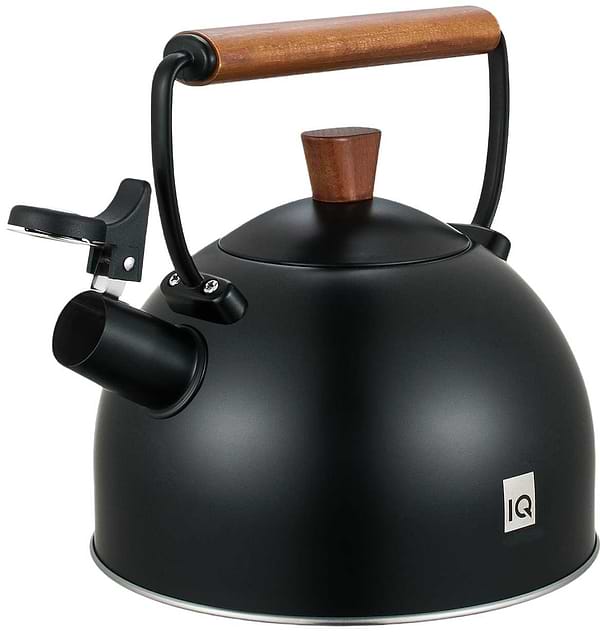 Фото - Чайник металевий IQ Вe Natural 2.5 л (IQ-1003)