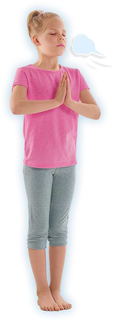 Фото - Настольная игра (3-4 года) Ses Creative ДЗЕН: ЙОГА С ЖИВОТНЫМИ (02407S)