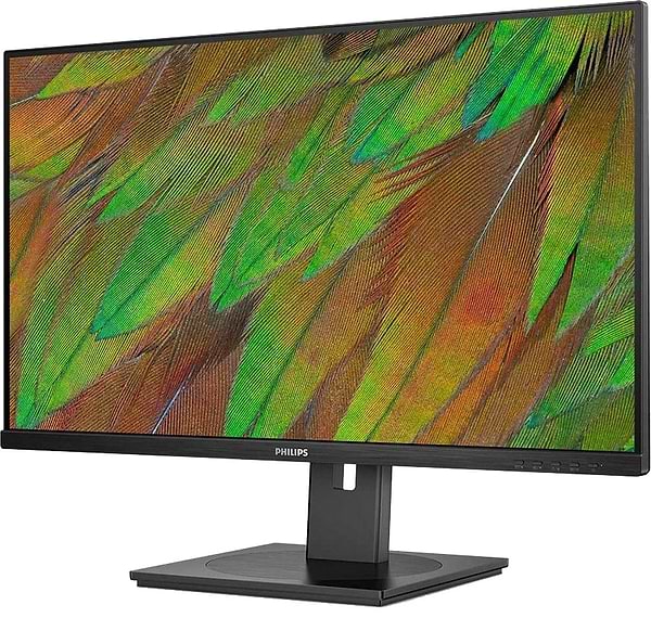 Фото - Монитор Philips 32B1U3900/00