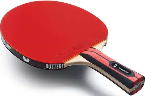 Фото - Ракетка для настільного тенісу Butterfly Champion FL (6256800002)