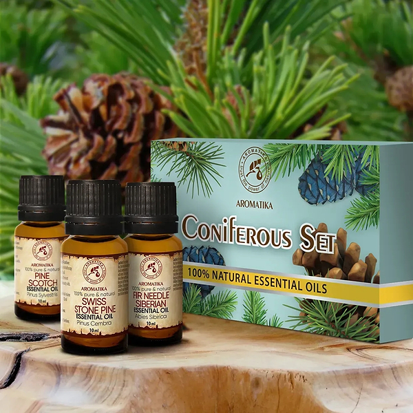 Фото - Набор эфирных масел Ароматика Хвойный аромат, 3шт. (4820177026858)