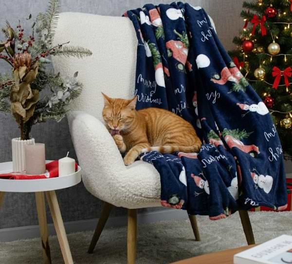 Фото - Плед євро Biltex новорічний синій Holiday Haul 200х220 (4820298410666)