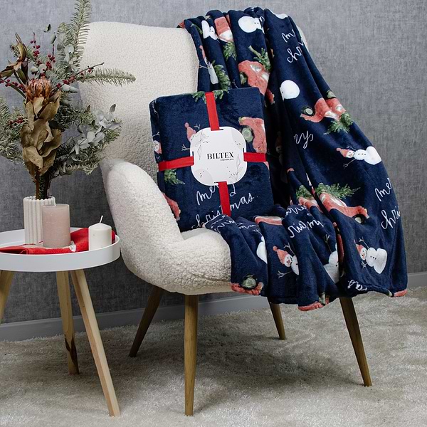 Фото - Плед евро Biltex новогодний синий Holiday Haul 200х220 (4820298410666)