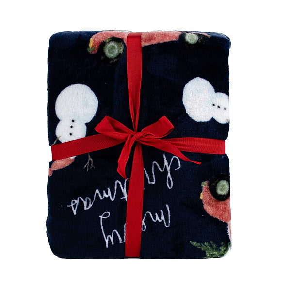 Фото - Плед евро Biltex новогодний синий Holiday Haul 200х220 (4820298410666)