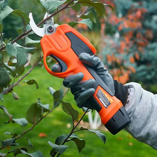 Фото - Секатор акумуляторний SEQUOIA SBP7225