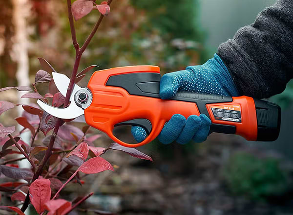 Фото - Секатор акумуляторний SEQUOIA SBP7225