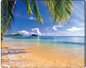 Коврик для мыши Voltronic Tropical Palm (YT-CAT7) - Фото 1