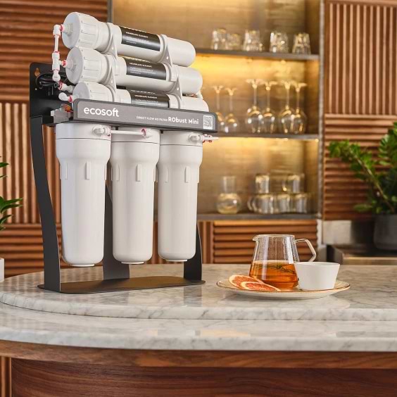Фото - Система зворотнього осмосу Ecosoft RObust Standard