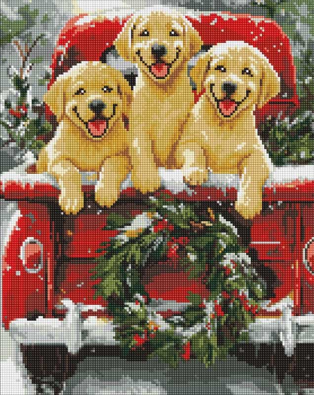 Купити Алмазний живопис Ideyka Собача подорож 40х50 (AMO20006) - Фото 1 Алмазний живопис Ideyka Собача подорож 40х50 (AMO20006) - Фото 1