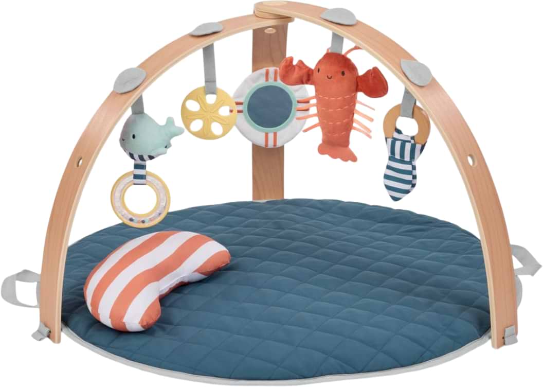 Купити Розвиваючий килимок Ingenuity Cozy Spot Harbor Haven (17486) - Фото 1 Розвиваючий килимок Ingenuity Cozy Spot Harbor Haven (17486) - Фото 1