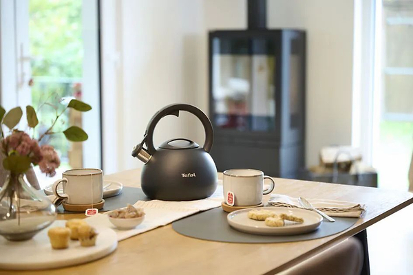 Фото - Чайник металевий Tefal N4180410 Duetto+ 2,5 л