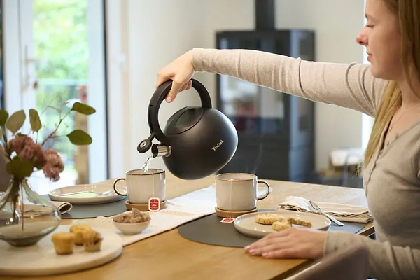 Фото - Чайник металевий Tefal N4180410 Duetto+ 2,5 л