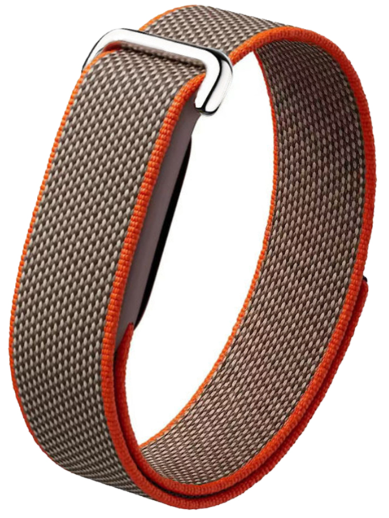 Ремешок для фитнес-браслета Armorstandart for Google Fitbit Air Rye (ARM92863)