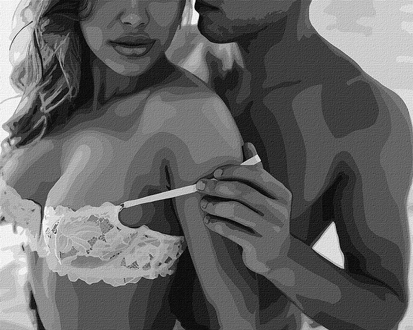 Фото - Картина за номерами Ideyka Пристрасний дотик 40х50 см (KHO8517)