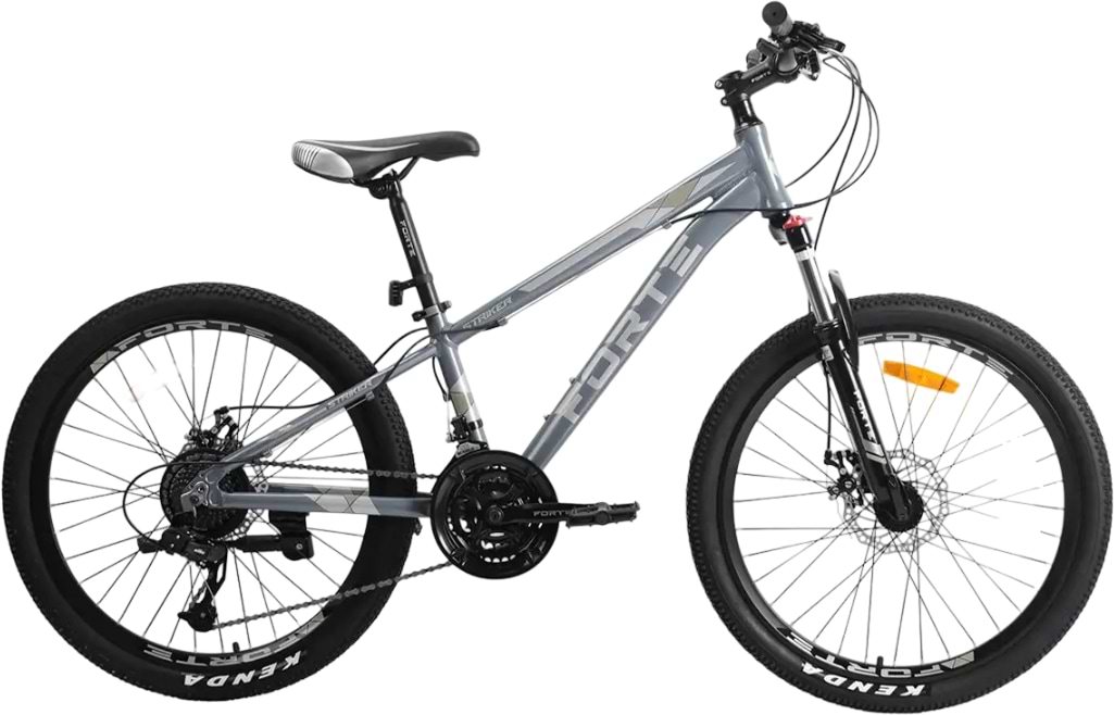 Двухколёсный велосипед Forte STRIKER 25.2412-08S Gray
