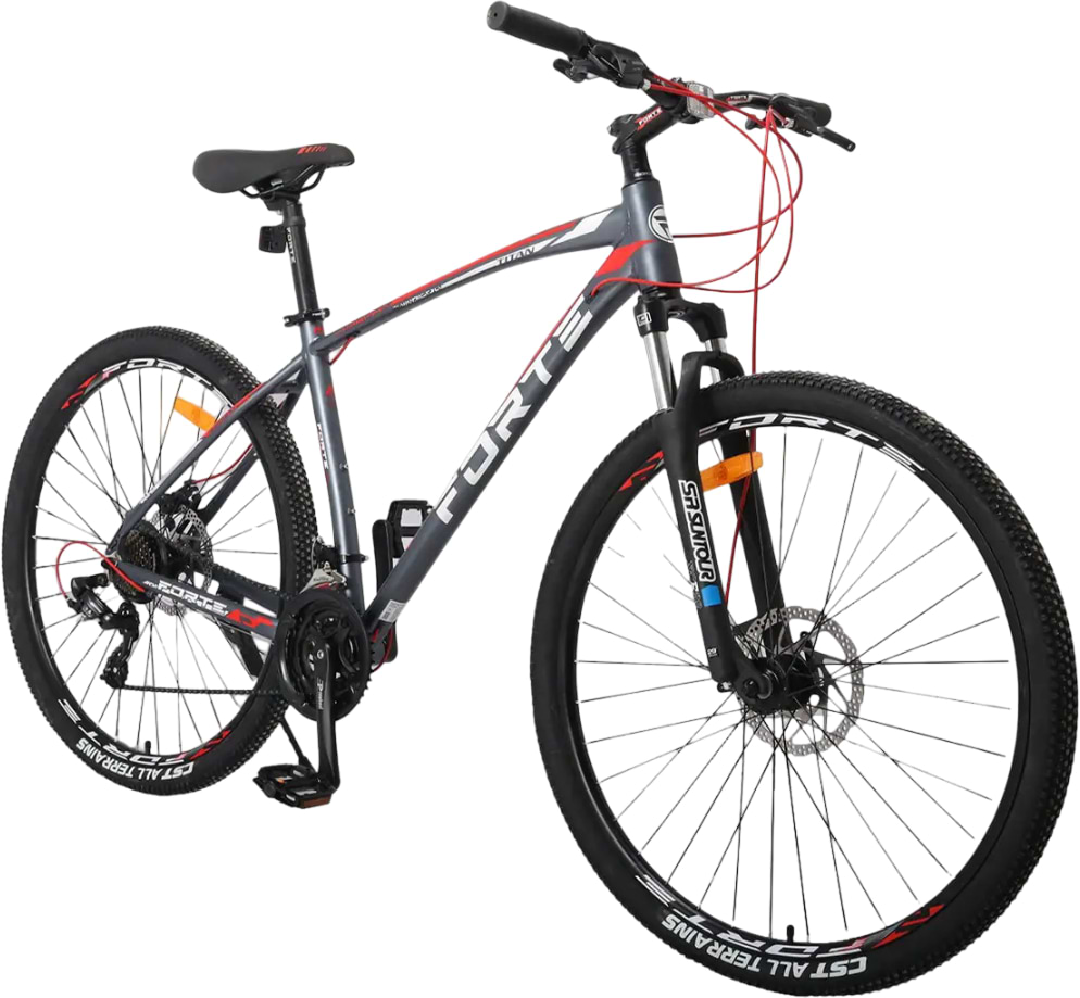 Двоколісний велосипед Forte TITAN Gray/Red