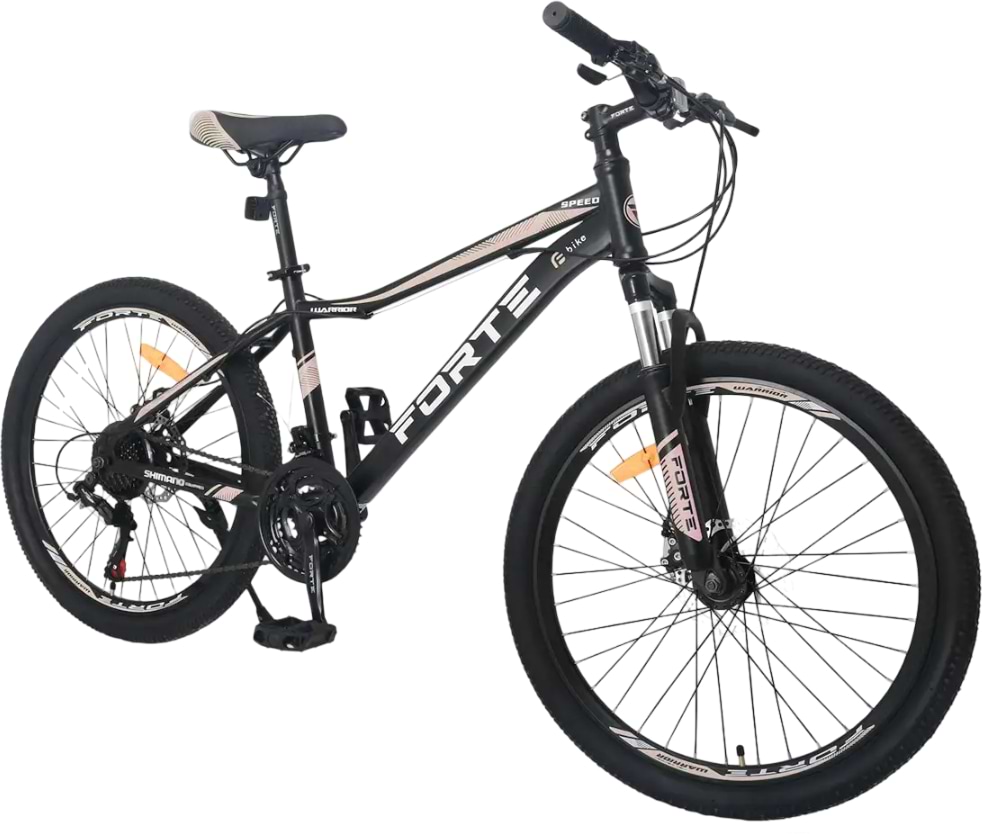 Двухколёсный велосипед Forte WARRIOR 25.2613-09A Black