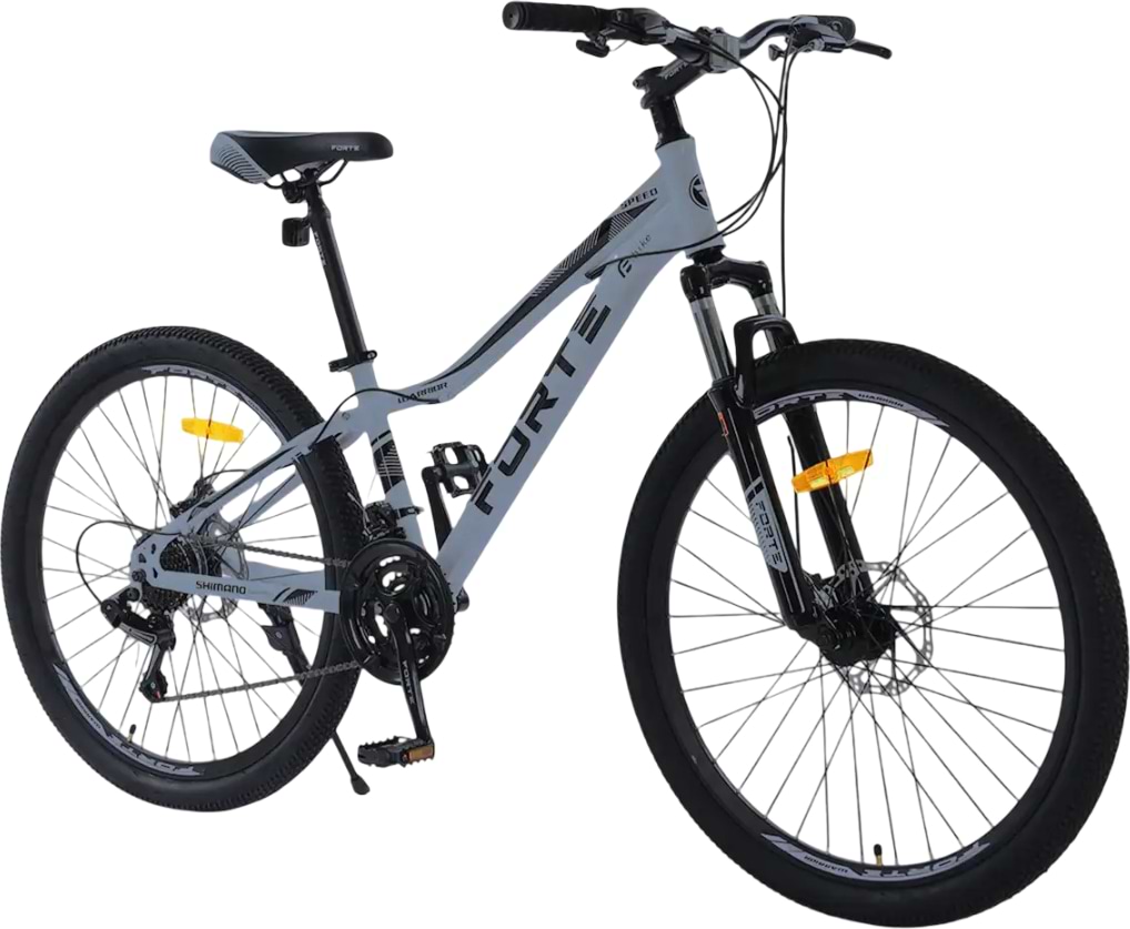 Двухколёсный велосипед Forte WARRIOR 25.2412-04S к24" р12" Gray
