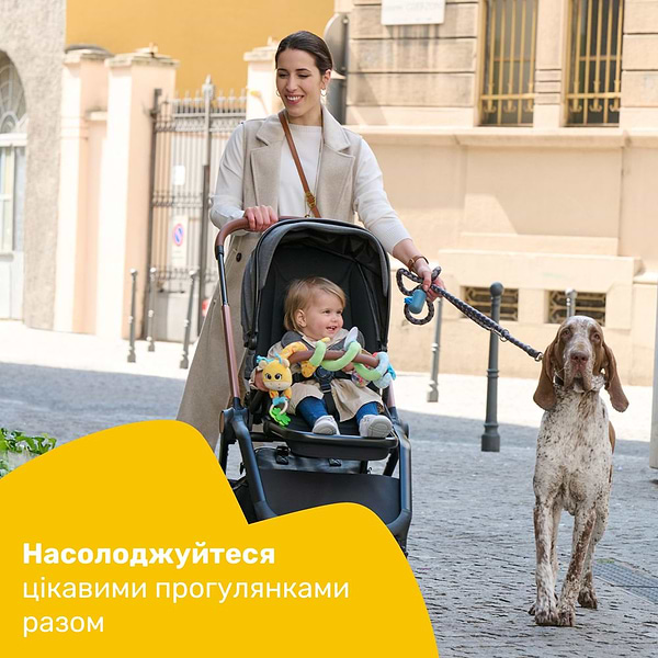 Фото - Погремушка Chicco Дама жираф (11562.00)