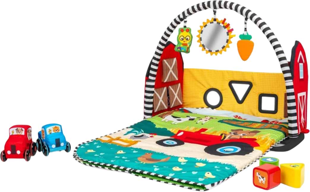 Розвиваючий килимок Baby Einstein 4 в 1 Busy Barnyard (17327) - Фото 1