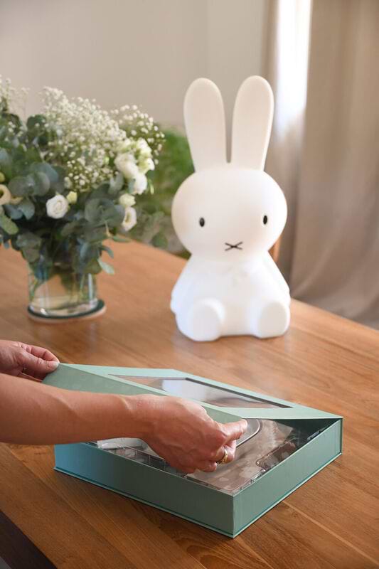 Фото - Набір дитячий 3 пр. Beaba Savannah Bloom 4+ Pink (913638)