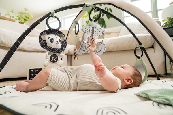 Фото - Развивающий коврик Tiny Love День-ночь (1209206830)