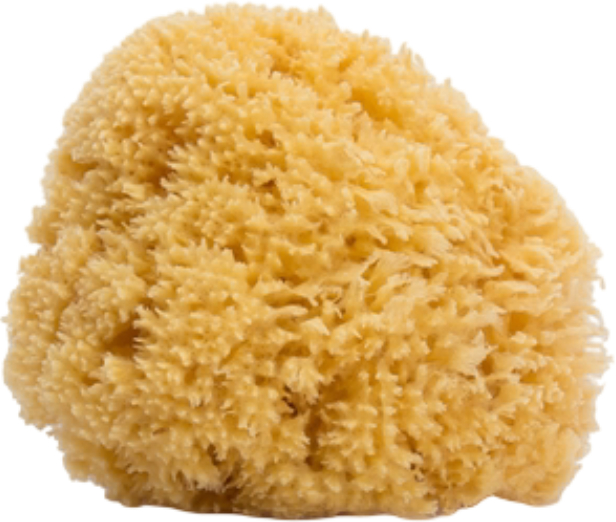 Детская мочалка Suavinex 300857