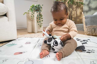 Фото - Подвеска Tiny Love Панда (1118600458)