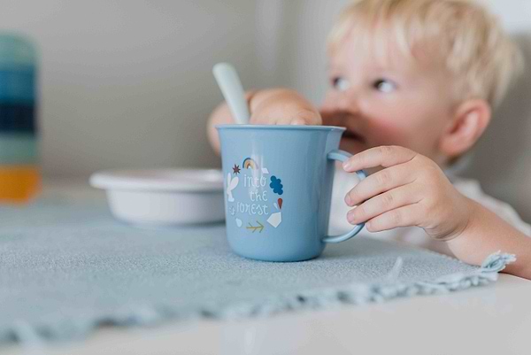 Фото - Набор детский Suavinex Лесные истории голубой (306793)